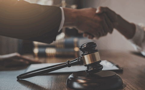 a people shaking hands